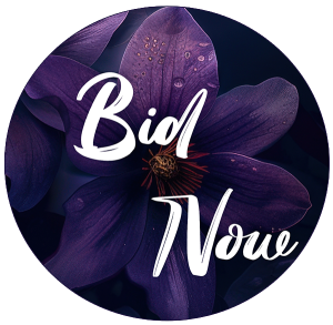 Dream Vacation Raffle — $10 a Ticket